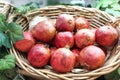 Red Pomegranate whole fruit displayed on basket Royalty Free Stock Photo