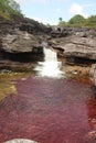 Red Pools Jungle Falls Cano Cristales