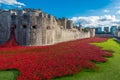 Red poppies art installation at Tower of London, UK