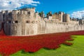 Red poppies art installation at Tower of London, UK