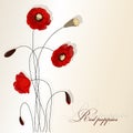 Red poppies. Background image.