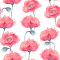 Red poppies background