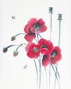 Red poppies and bees Royalty Free Stock Photo