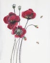 Red poppies and bees