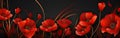 Red poppies on black background. Creative Poppy flowers banner background. Remembrance Day. AI generative Royalty Free Stock Photo