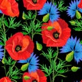 Red poppies ,blue cornflowers