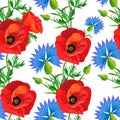 Red poppies, blue cornflowers