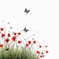 Red poppies and butterflies on white background. Vector illustration Royalty Free Stock Photo