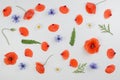 Red poppies, daisies, cornflowers and green leaves on white background. Flat lay, top view Royalty Free Stock Photo
