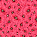 Red poppies and daisies seamless pattern. Hand drawing. Vector illustration Royalty Free Stock Photo