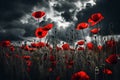 poppies in the field remembrance on asmistice days Generated AI Royalty Free Stock Photo