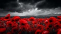 Red Poppies in the Field: Background Imagery for Remembrance or Armistice Day AI Generated Royalty Free Stock Photo