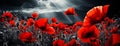 red poppies in the field. background imagery for remembrance or armistice day on 11 of november. dark clouds on the sky. selective