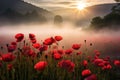 Red poppies field in morning mist