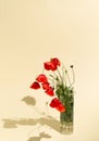 Red poppies flower arrangement on sandy suny color background. Minimal layout. Copy space Royalty Free Stock Photo