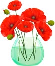 Red poppies flowers in glass vase. Royalty Free Stock Photo