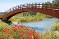 Red poppies flowers meadow river wooden bridge Royalty Free Stock Photo