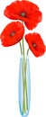 Red poppies flowers in a narrow glass vase. Royalty Free Stock Photo