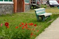 Red poppies in front of the entrance an old wooden bench Royalty Free Stock Photo