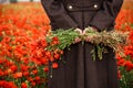 Red poppies in hands in spring field