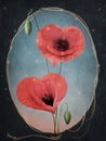 Red poppies - heart