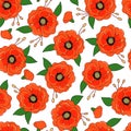 Red poppies with leaves. Colorful floral seamless pattern on white background. Vector background. Royalty Free Stock Photo