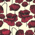 Red poppies on a light background. Vector seamless pattern Royalty Free Stock Photo