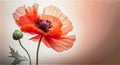 Red poppies on a light background in watercolors. Minimalist banners, space for text, generative AI content.