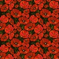 Red poppies seamless pattern on black background