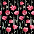 Red poppies. Seamless watercolor pattern