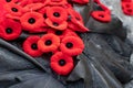 Red poppies on Tomb Of The Unknown Soldier in Ottawa, Canada on Remembrance Day. Royalty Free Stock Photo