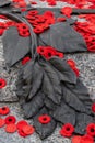 Red poppies on Tomb Of The Unknown Soldier in Ottawa, Canada on Remembrance Day. Royalty Free Stock Photo