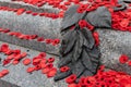 Red poppies on Tomb Of The Unknown Soldier in Ottawa, Canada on Remembrance Day. Royalty Free Stock Photo