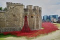 Red Poppies War Memorial at The Tower of London Royalty Free Stock Photo