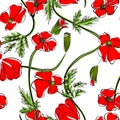 Red poppies on a white background. Floral seamless pattern with big bright flowers. Summer vector illustration for print textile,