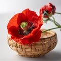 red poppy in BAMBOO BASKET Royalty Free Stock Photo