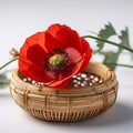 red poppy in BAMBOO BASKET Royalty Free Stock Photo