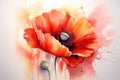 Red Poppy beautiful field watercolor painting. Illustration of blooming poppy flower. Beautiful floral interior wall painting