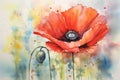 Red Poppy beautiful field watercolor painting. Illustration of blooming poppy flower. Beautiful floral interior wall painting