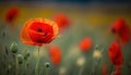 a red poppy in a field of green and yellow flowers. generative ai Royalty Free Stock Photo