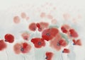 Red poppy field in the Sun watercolor background Royalty Free Stock Photo