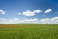 Red poppy fields and white clouds in the sky Royalty Free Stock Photo