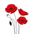 Red Poppy Flower.