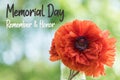Red Poppy flower for Memorial Day Remember and Honor text