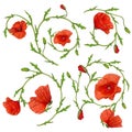 Red poppy flower ornament elements collection on white Royalty Free Stock Photo