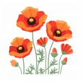 Flat Vector Illustration Of Poppies And Flowers