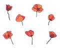 Red poppy flower vector set. Royalty Free Stock Photo