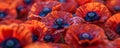 Red poppy flowers background, closeup. Remembrance Day or Armistice Day rolls banner with copy space