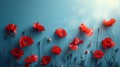 Red Poppy Flowers Banner on Blue Background for Remembrance, Memorial, and ANZAC Day Tribute