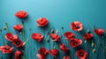 Red Poppy Flowers on Blue Banner for Remembrance, Memorial, ANZAC Day Tribute